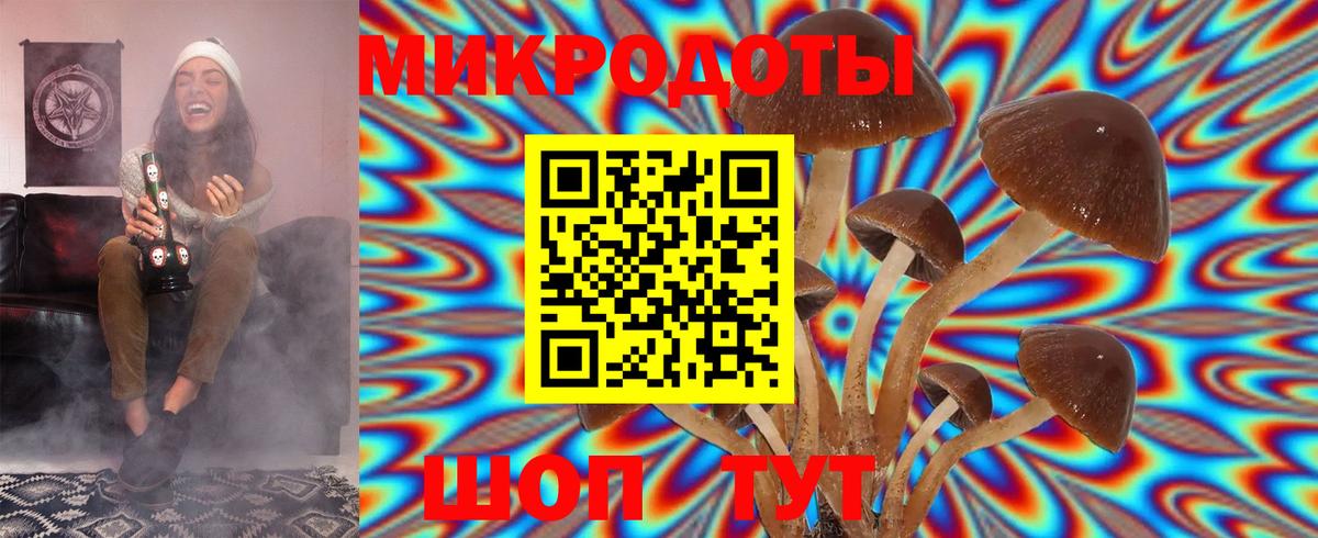 Псилоцибиновые грибы ЛСД Щёкино